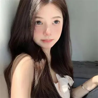 狐狸之声国语