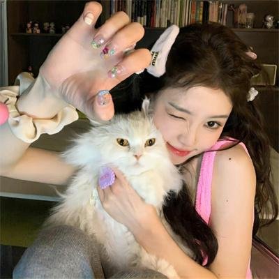 猫和老鼠:间谍使命